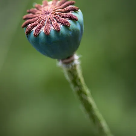 Apartment Am Holderbusch