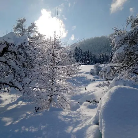 Apartment Am Holderbusch *