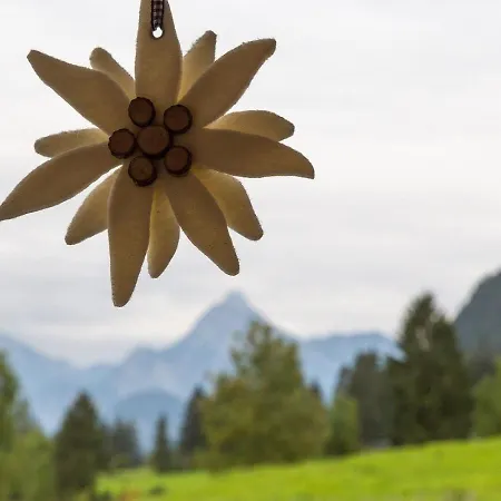 Am Holderbusch Füssen