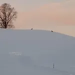 Lejlighed Am Holderbusch Füssen