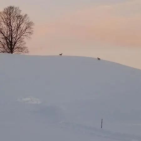 Apartment Am Holderbusch