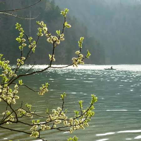 Apartment Am Holderbusch *