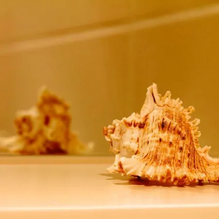 Am Holderbusch Apartment