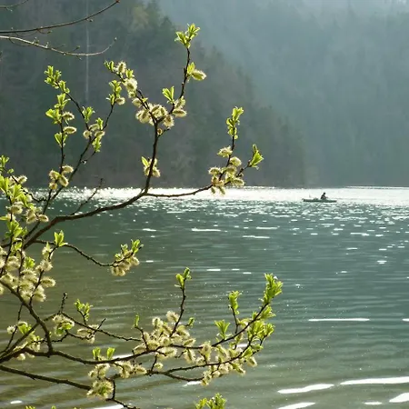 Apartment Am Holderbusch Fussen