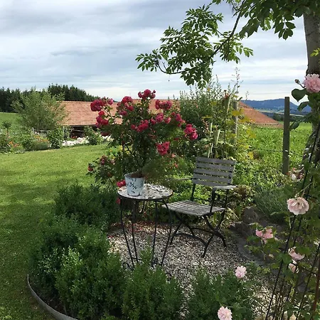 Am Holderbusch