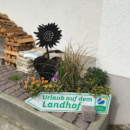 Apartment Am Holderbusch Fussen
