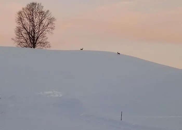 Appartement Am Holderbusch