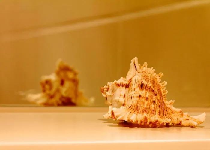 Appartement Am Holderbusch Füssen