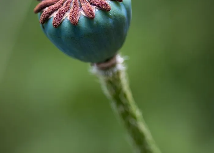 Appartement Am Holderbusch