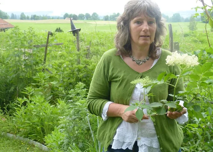 Appartement Am Holderbusch