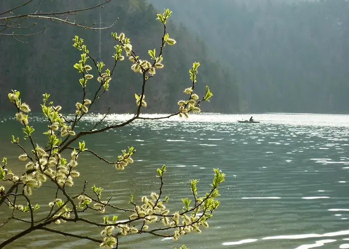 Appartement Am Holderbusch *