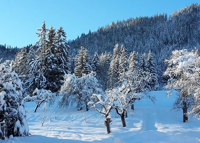Appartement Am Holderbusch