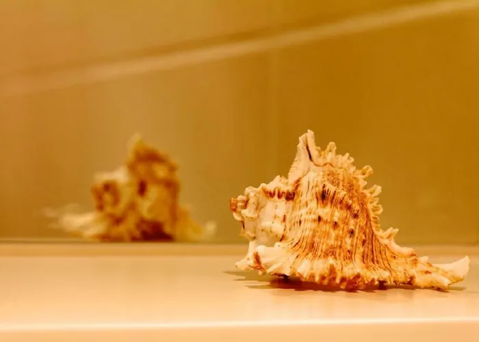 Am Holderbusch Appartement