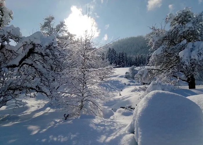 Am Holderbusch Füssen