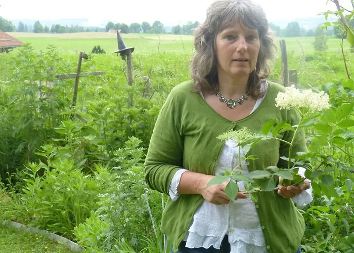 Appartement Am Holderbusch *