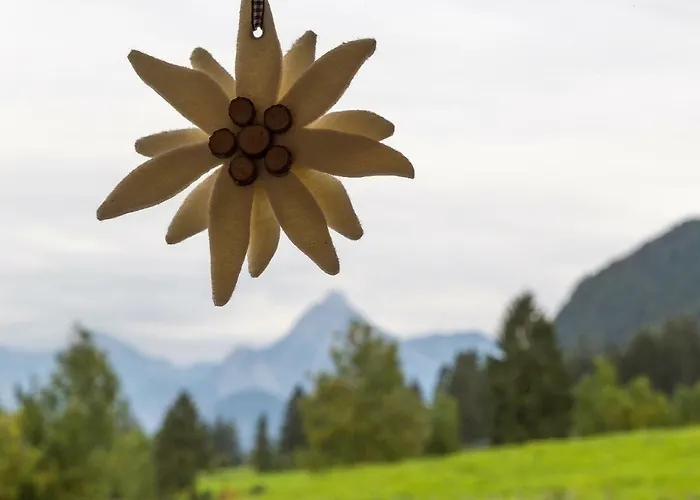 Am Holderbusch Appartement