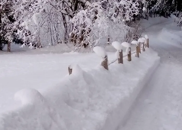 Am Holderbusch Appartement