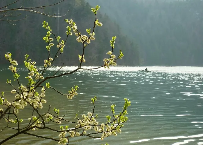 Appartement Am Holderbusch Füssen